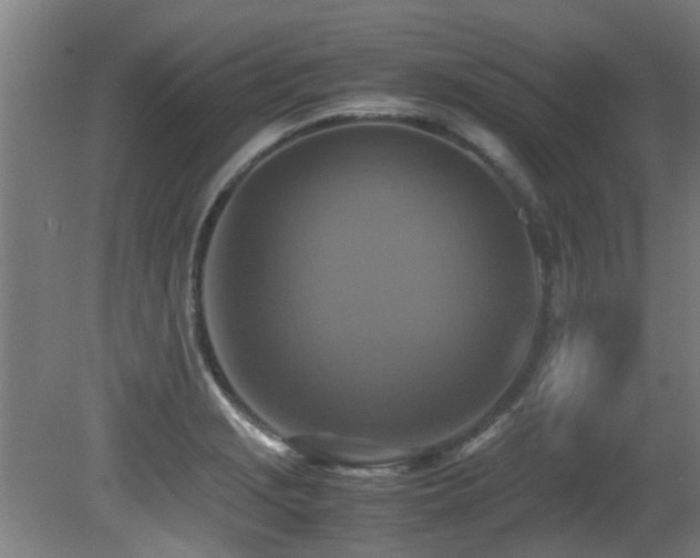 X0000081371229200701111539