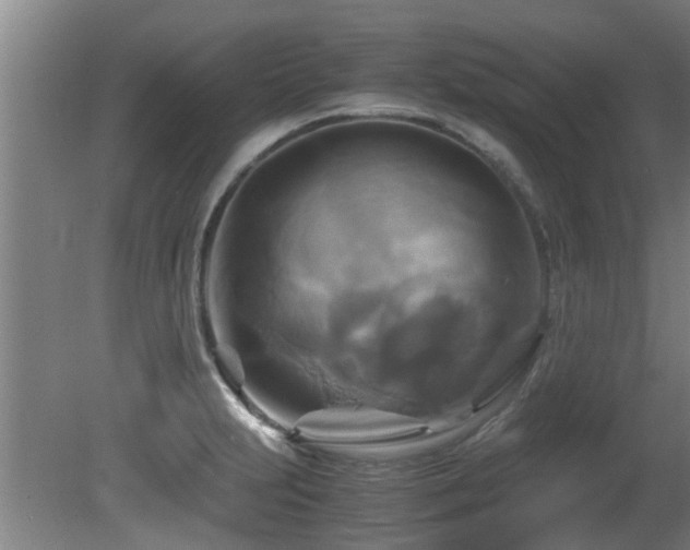 X0000081371231200701111539