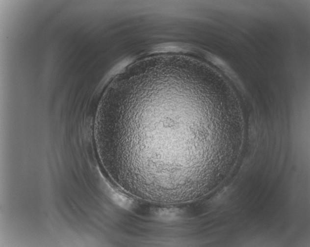 X0000081371233200701111539