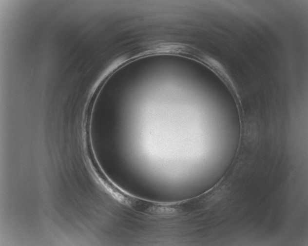 X0000081371235200701111539