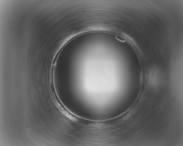 X0000081371236200701111539