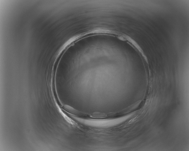 X0000081371245200701111539