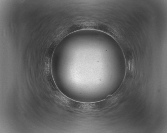X0000081371251200701111539