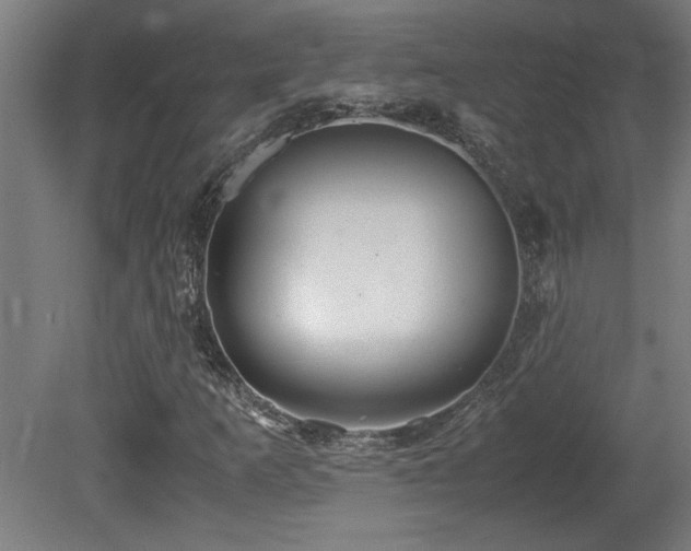 X0000081371253200701111539