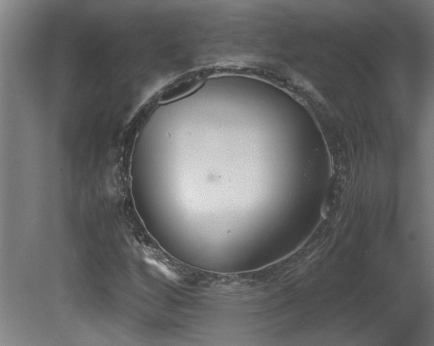 X0000081371256200701111538