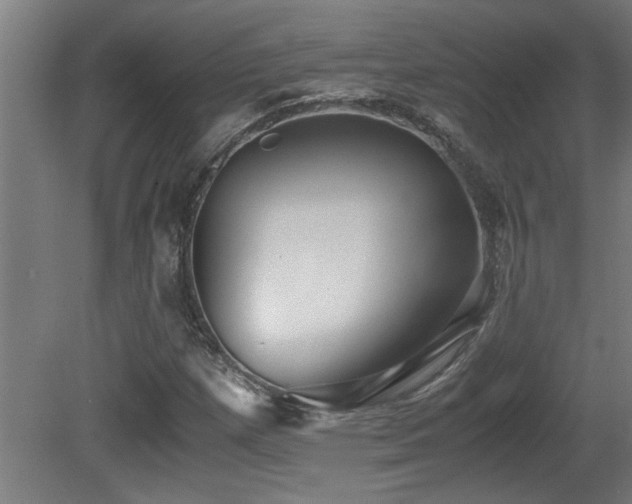 X0000081371257200701111538