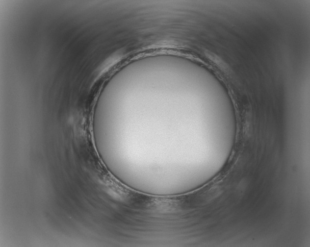 X0000081371258200701111538
