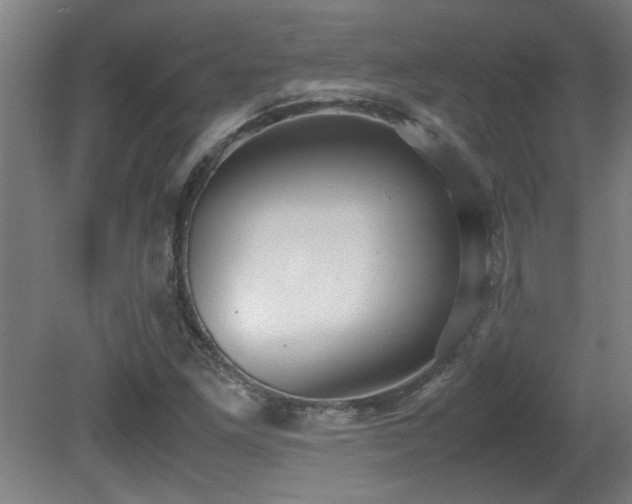 X0000081371261200701111538