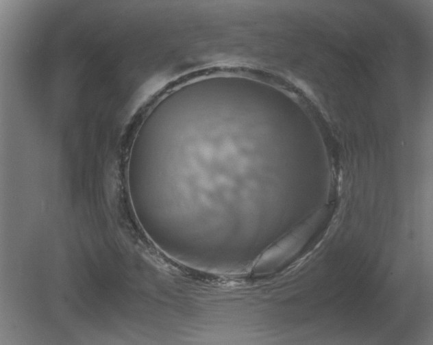 X0000081371263200701111538
