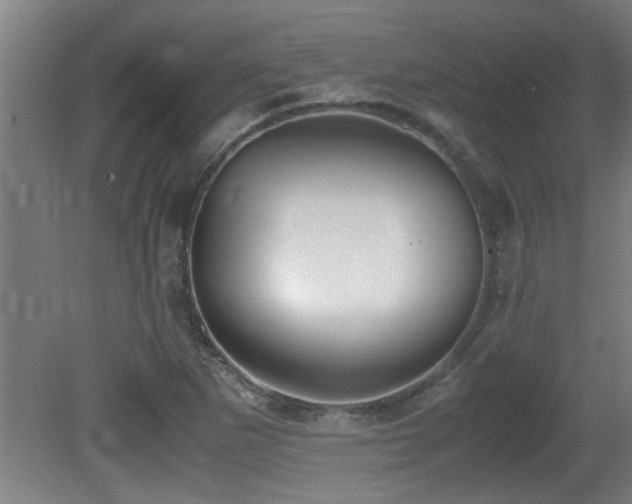 X0000081371265200701111538