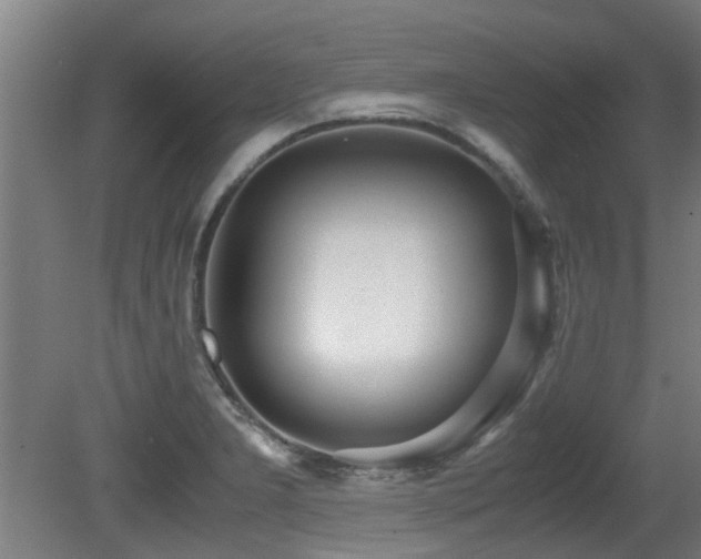 X0000081371277200701111538