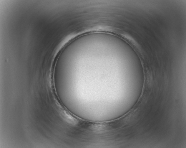 X0000081371278200701111538