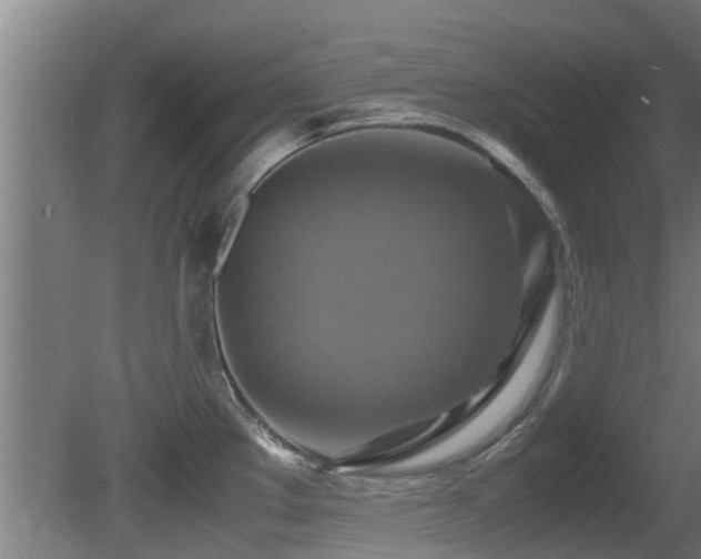 X0000081371289200701111538