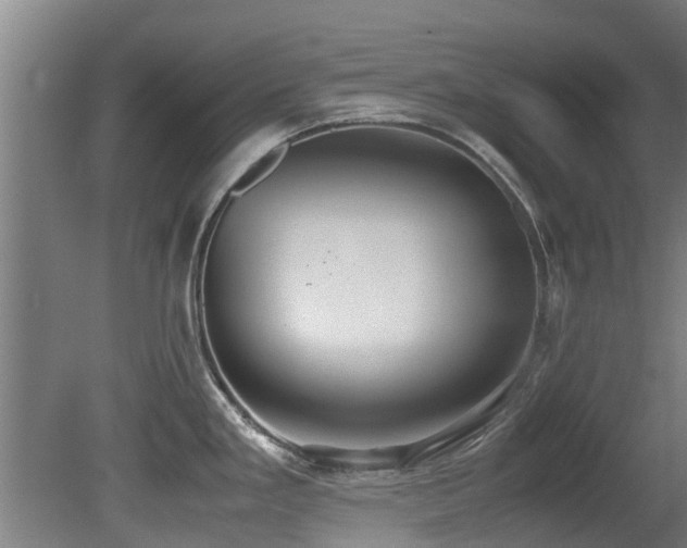 X0000081371293200701111538