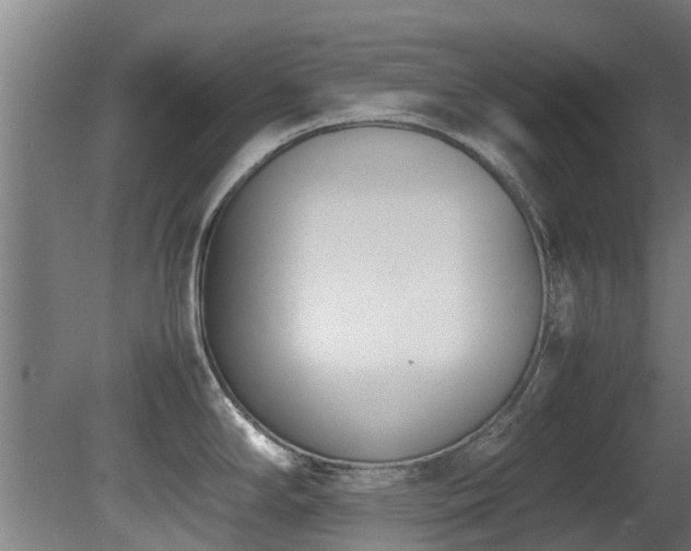 X0000081371294200701111538