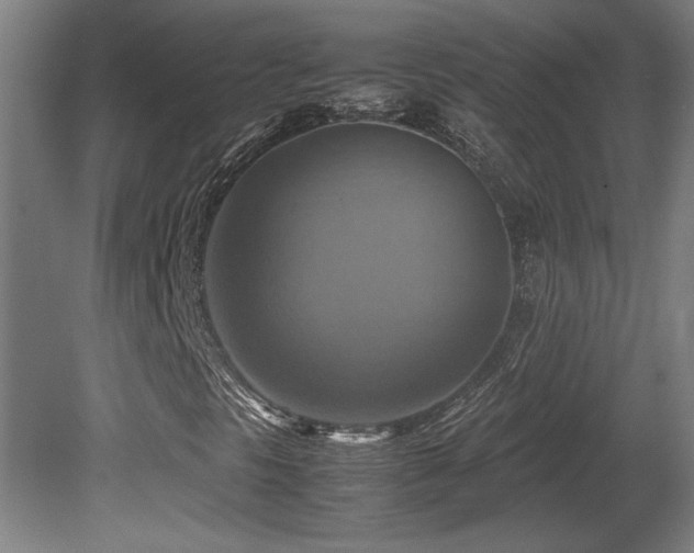 X0000081371297200701111537