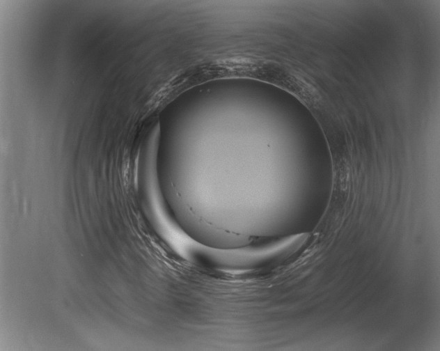 X0000081371298200701111537