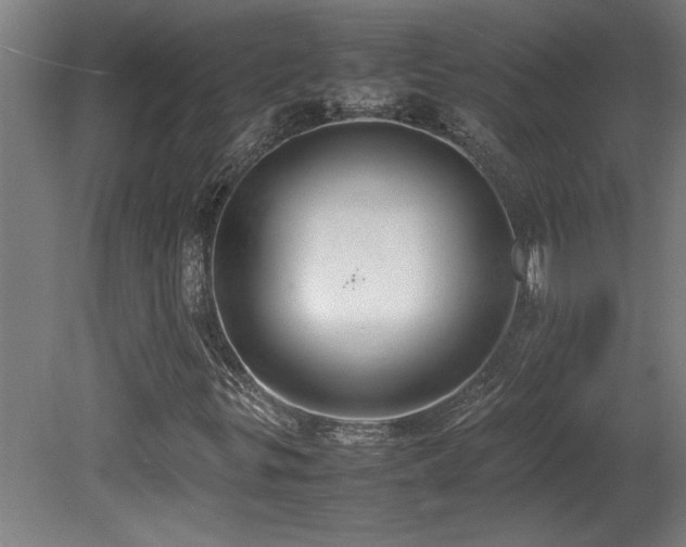 X0000081371299200701111537