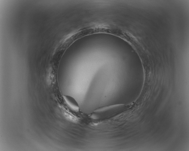 X0000081371303200701111537
