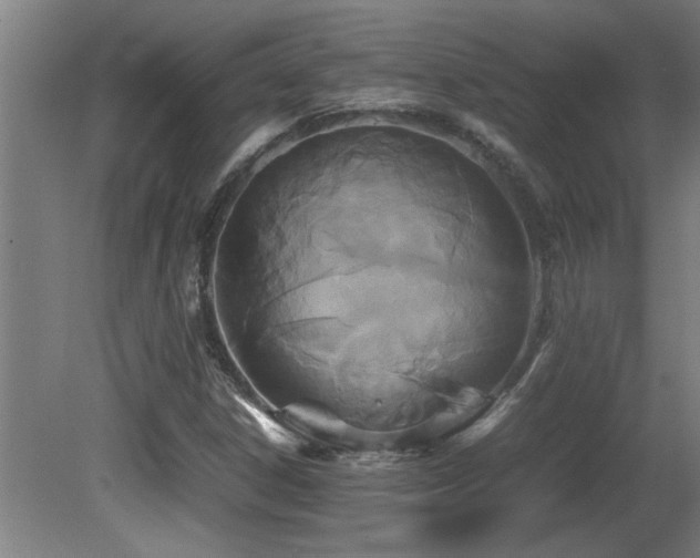 X0000081371306200701111537