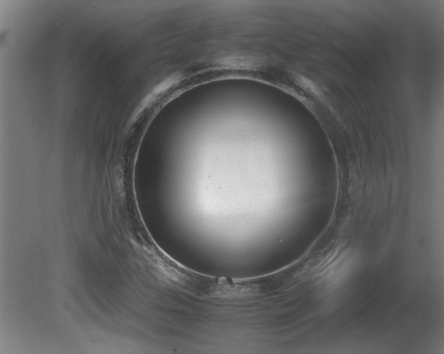X0000081371307200701111537