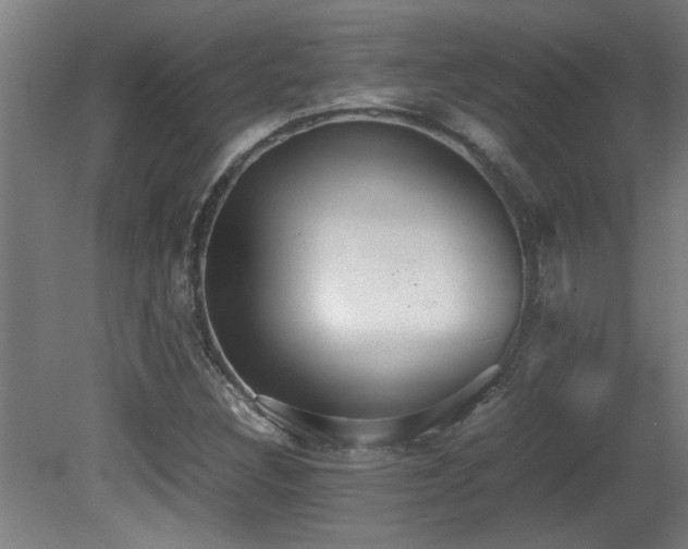 X0000081371308200701111537