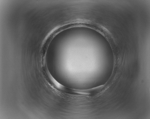 X0000081371310200701111537
