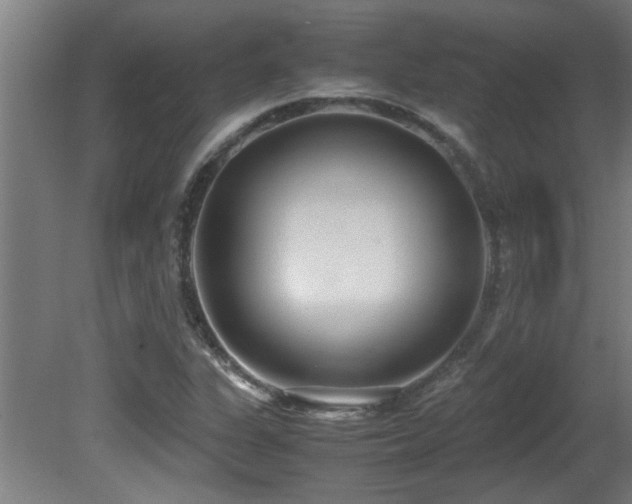 X0000081371311200701111537