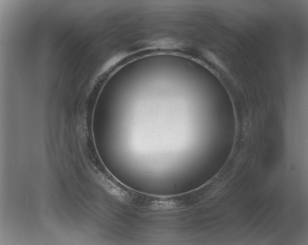 X0000081371315200701111537