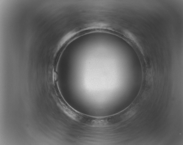 X0000081371320200701111537