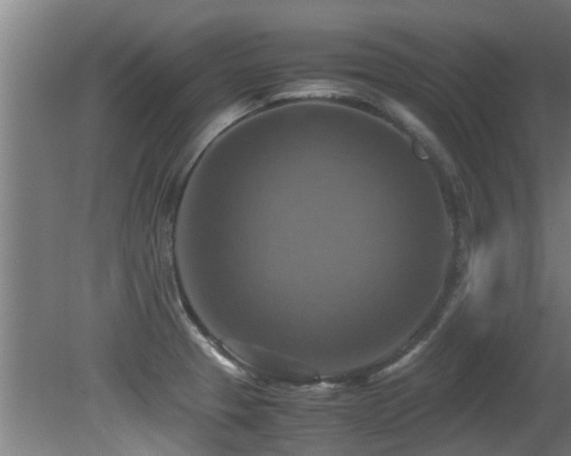 X0000081371329200701111538