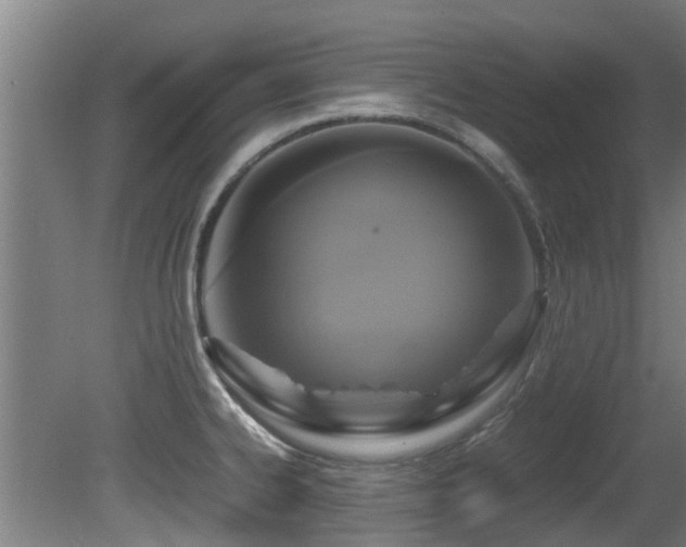 X0000081371334200701111538