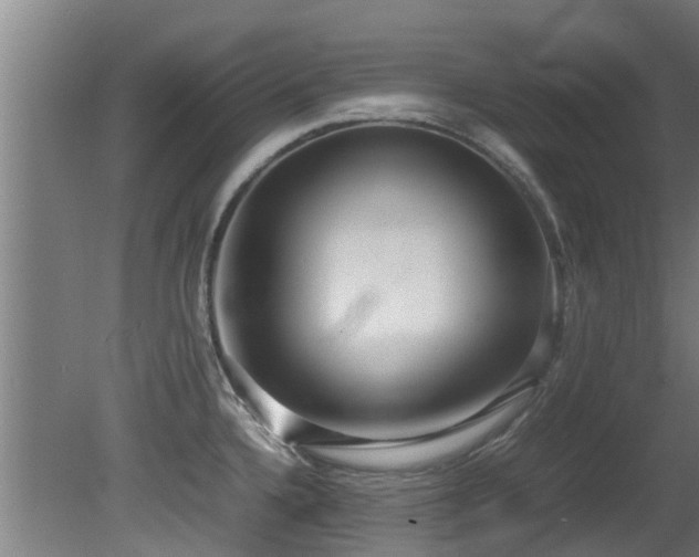 X0000081371336200701111538