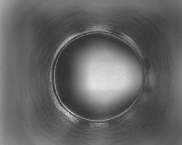 X0000081371339200701111538