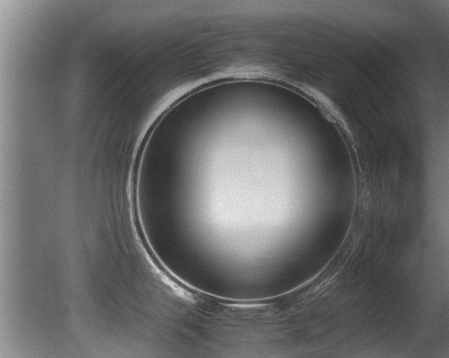 X0000081371343200701111538