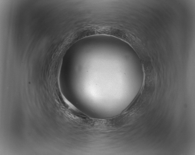 X0000081371345200701111537