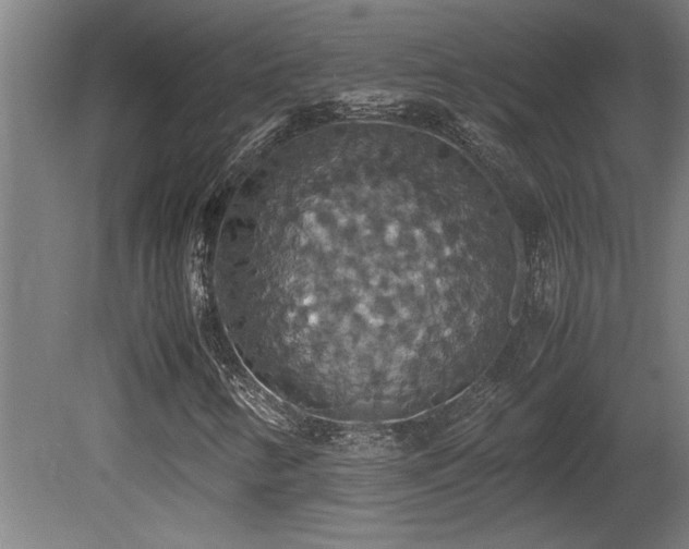 X0000081371346200701111537