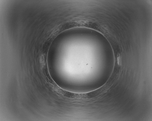 X0000081371347200701111537