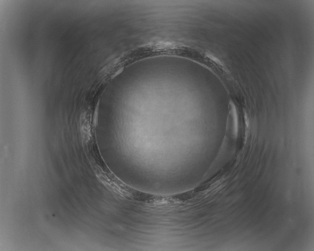 X0000081371348200701111537