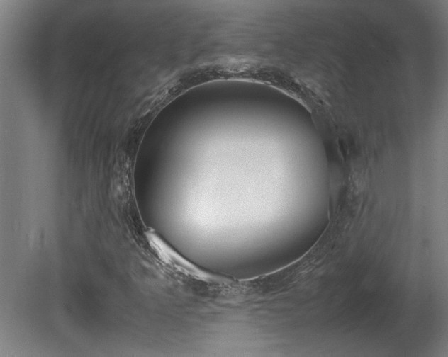 X0000081371349200701111537