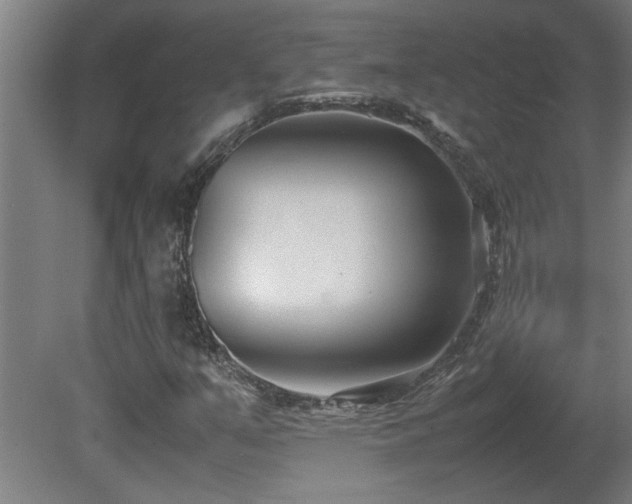 X0000081371351200701111537