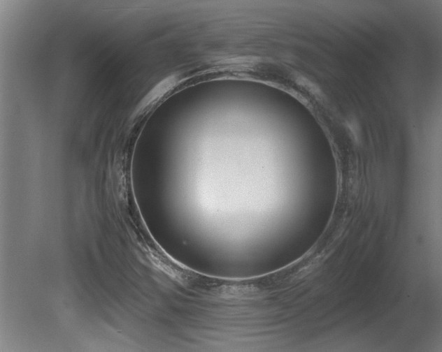 X0000081371354200701111537