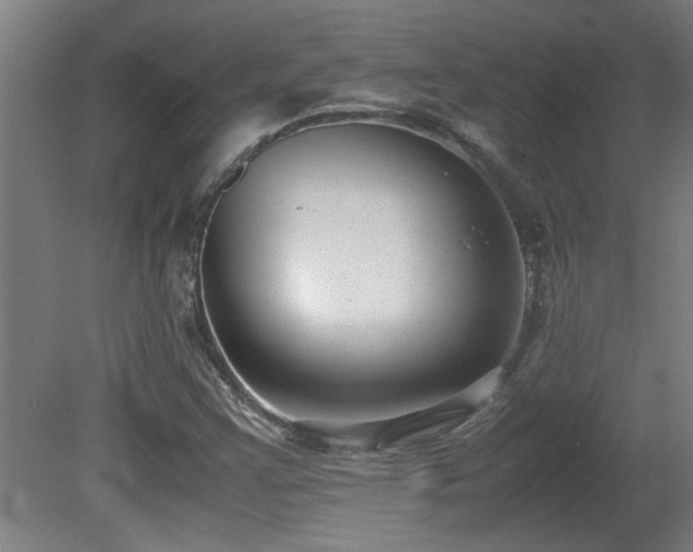 X0000081371355200701111537