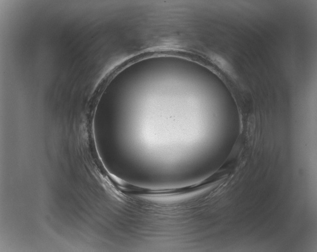 X0000081371356200701111537