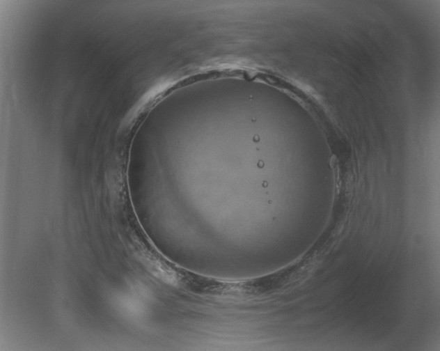 X0000081371359200701111537