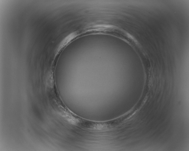 X0000081371362200701111537