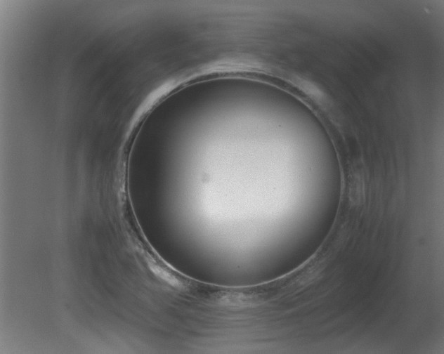 X0000081371366200701111537