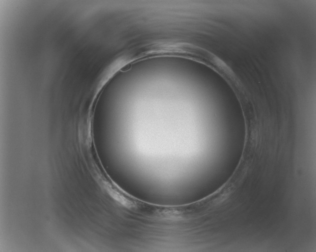 X0000081371370200701111537