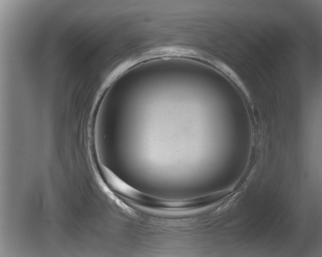X0000081371381200701111536