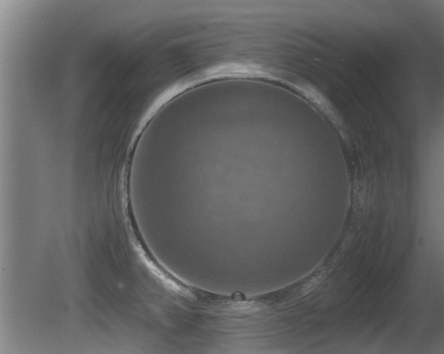 X0000081371382200701111536